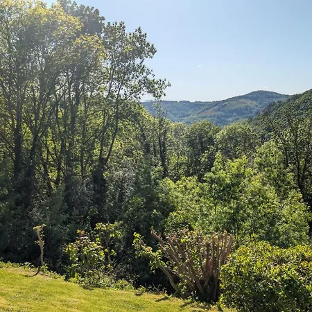 Apartment Panorama Eifel View