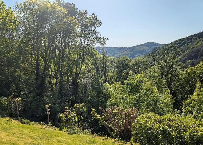Lejlighed Panorama Eifel View